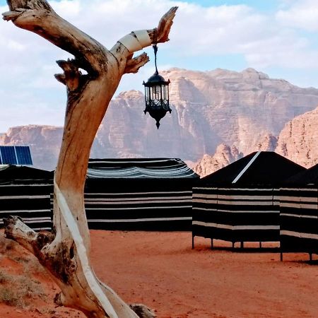 Desert Tree Camp&Tours Wadi Rum Exterior photo