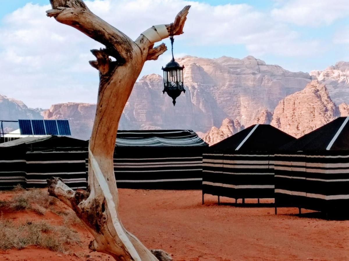 Desert Tree Camp&Tours Wadi Rum Exterior photo