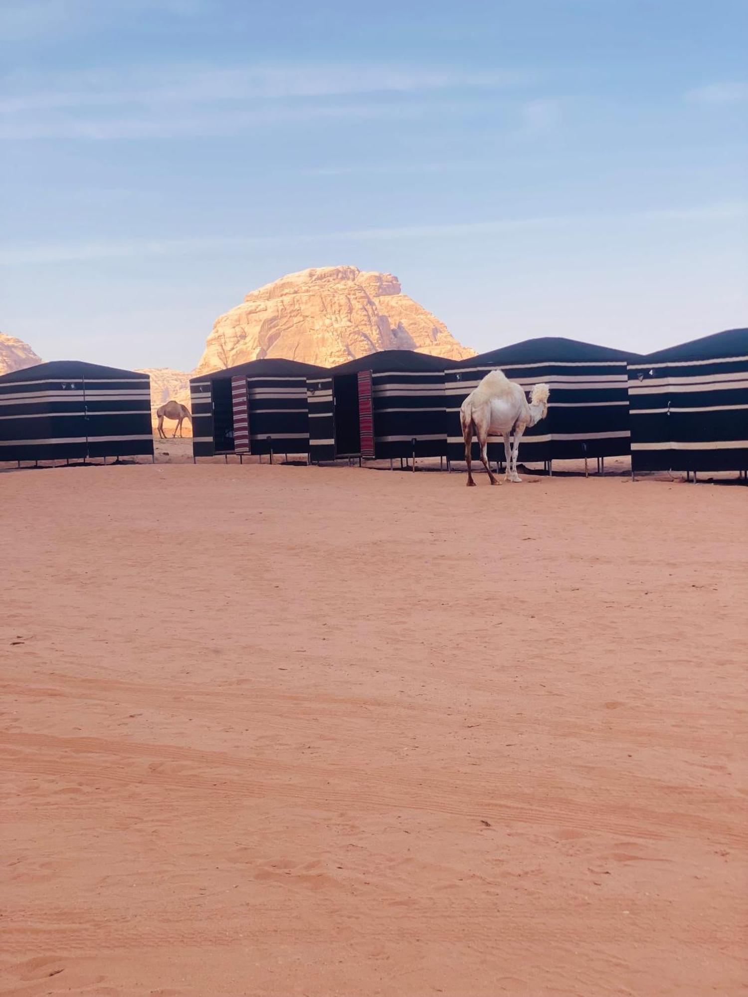 Desert Tree Camp&Tours Wadi Rum Exterior photo